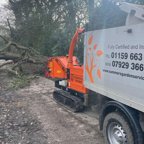 Storm Damaged Tree Removal