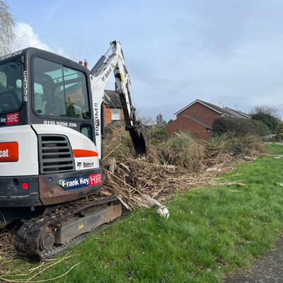 Removing Pampas Grass in Nottinghamshire